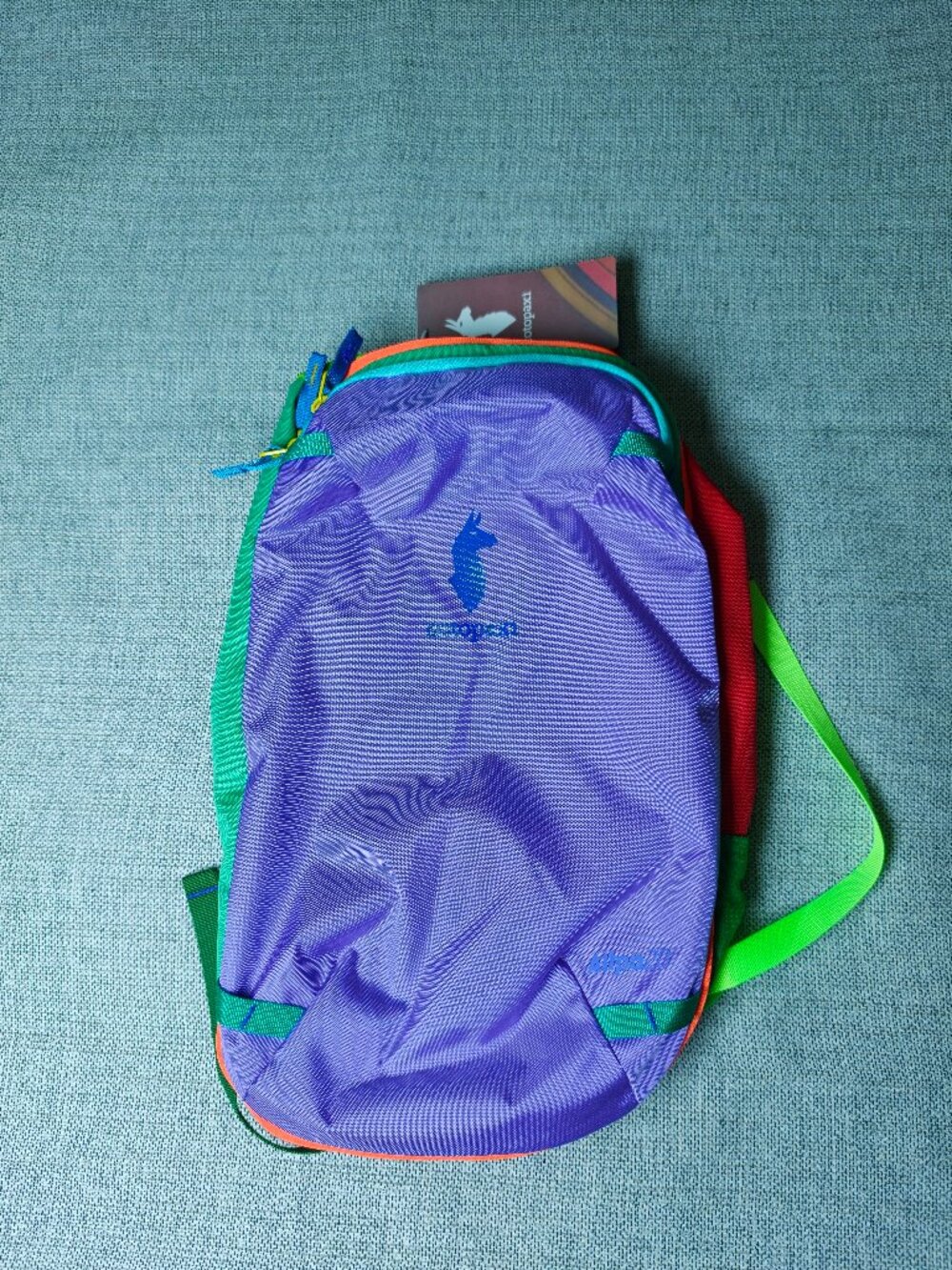 Cotopaxi Purple Violet Allpa 20 L Backpack